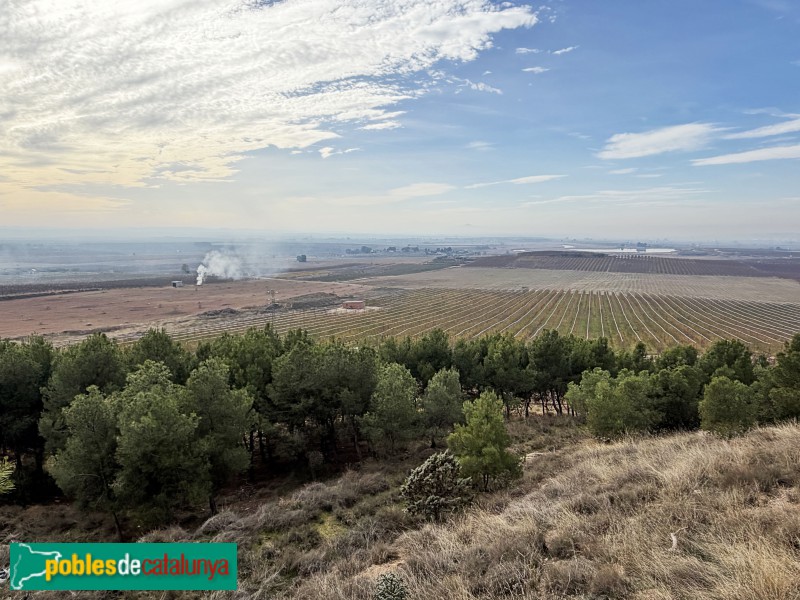 Torres de Segre - Panoràmica des de l'ermita de la M. D. de Carrassumada
