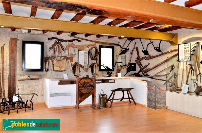 Torres de Segre - Museu de l'Evolució