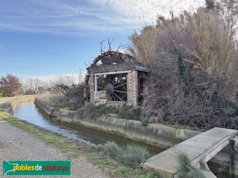 Rosselló - Sínia del canal de Pinyana
