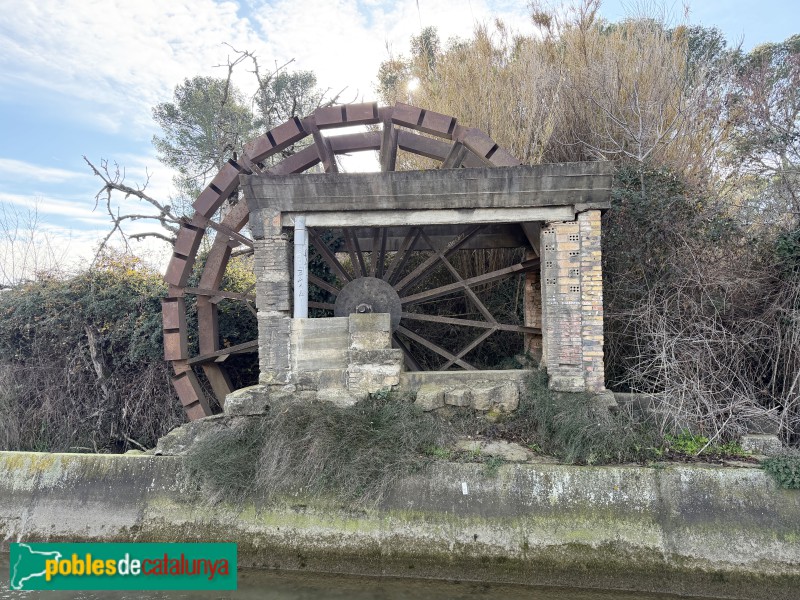 Rosselló - Sínia del canal de Pinyana