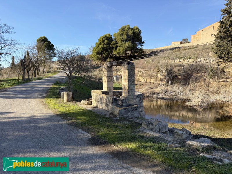 Almatret - Pou de la Bassa