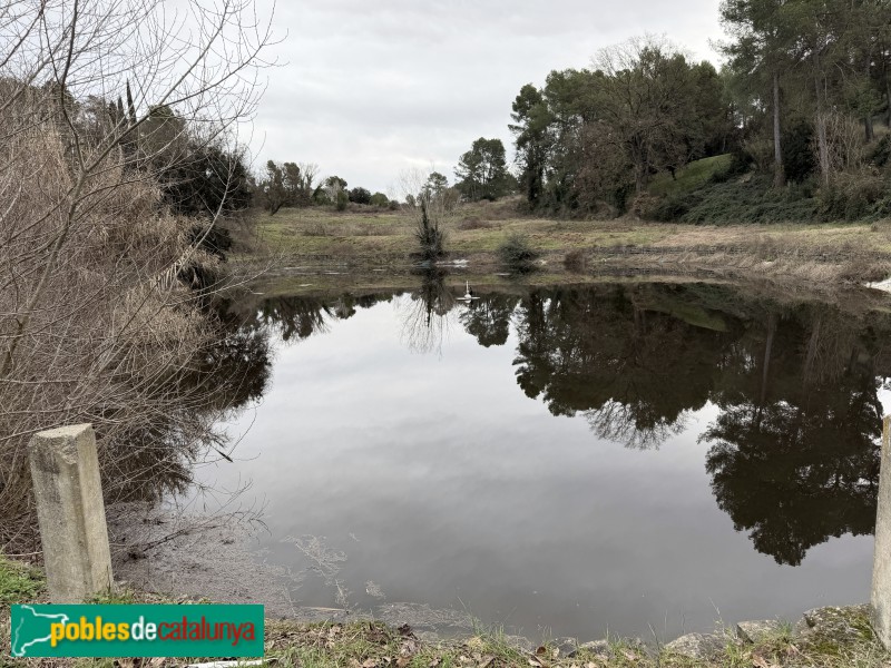 Sant Julià de Ramis - Bassa de Can Mur Vell (Foto: Albert Esteves, 2026) Sant Julià de Ramis - Bassa de Can Mur Vell