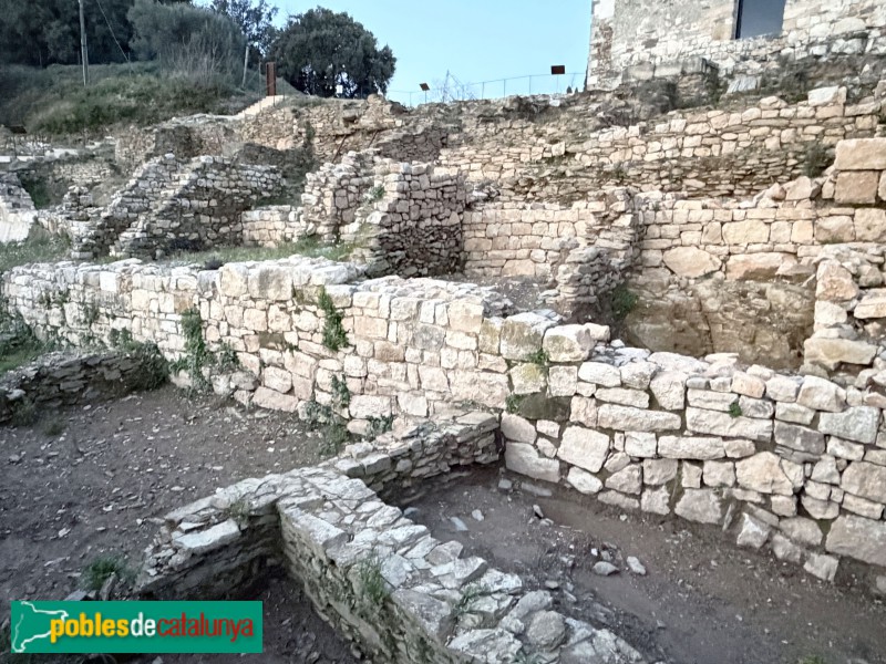 Sant Julià de Ramis - Restes d'un poblat altmedieval (Foto: Albert Esteves, 2026) Sant Julià de Ramis - Restes d'un poblat altmedieval