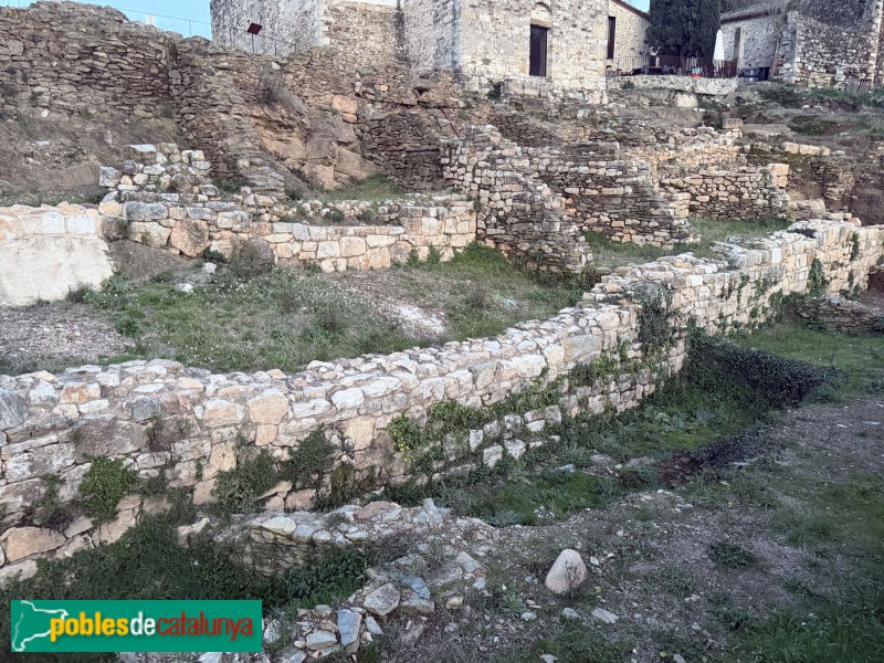 Sant Julià de Ramis - Restes d'un poblat altmedieval (Foto: Albert Esteves, 2026) Sant Julià de Ramis - Restes d'un poblat altmedieval