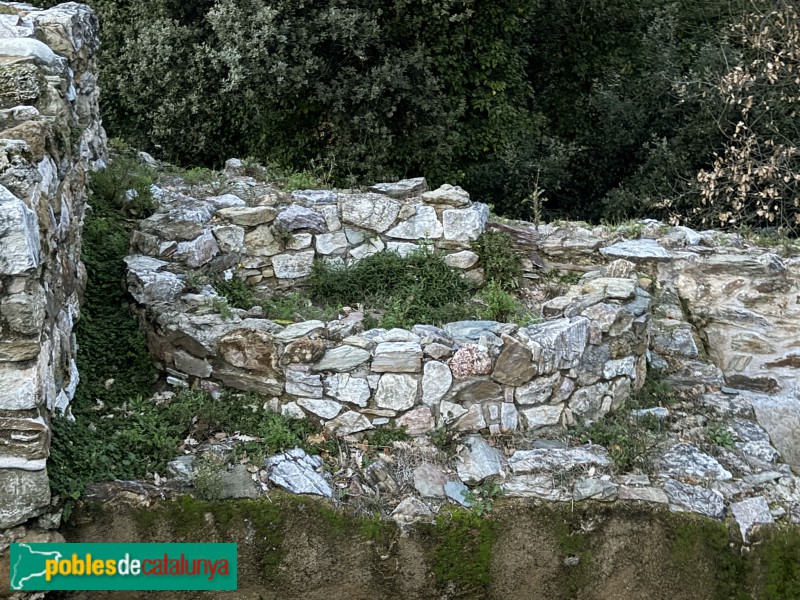 Sant Julià de Ramis - Poblat ibèric de Kerunta (Foto: Albert Esteves, 2026) Sant Julià de Ramis - Poblat ibèric de Kerunta