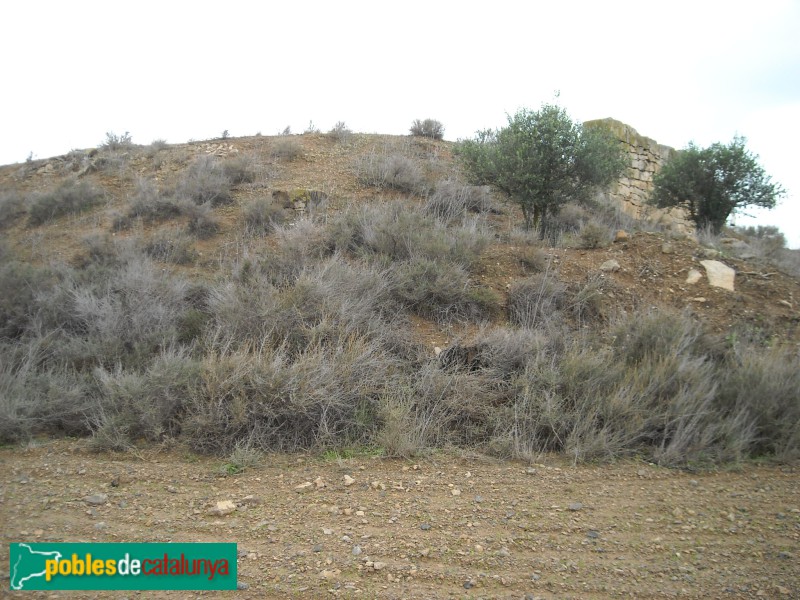 Aitona - Cabana del mas Llauradó