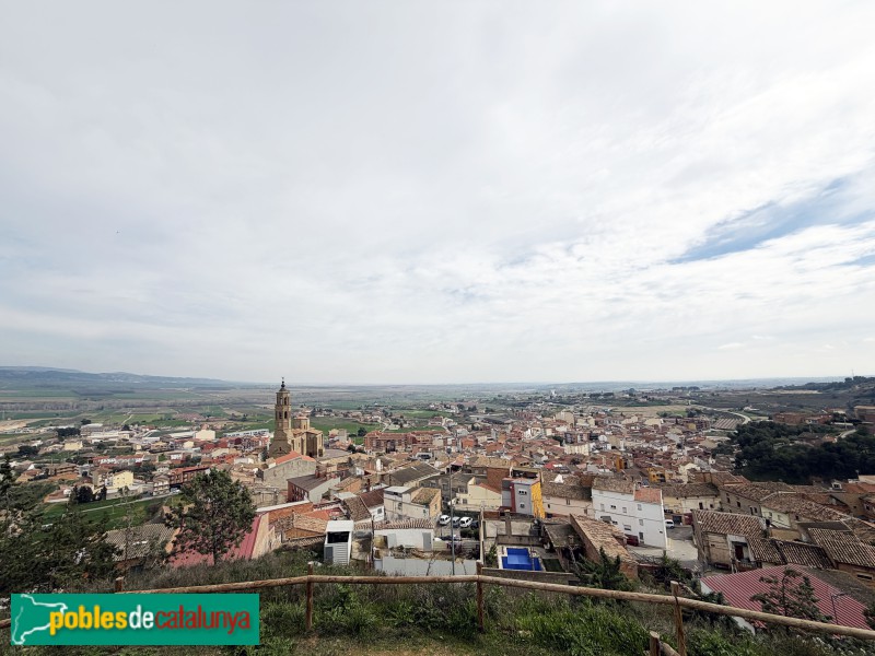 Almenar - Panoràmica del poble des del castell