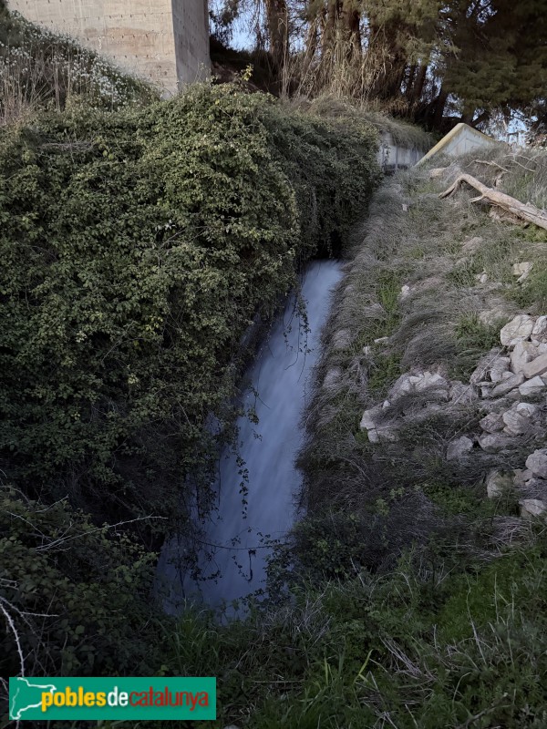 Alpicat - Molí de Canet