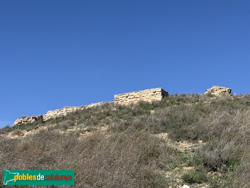 Almacelles - Castell de la Saira