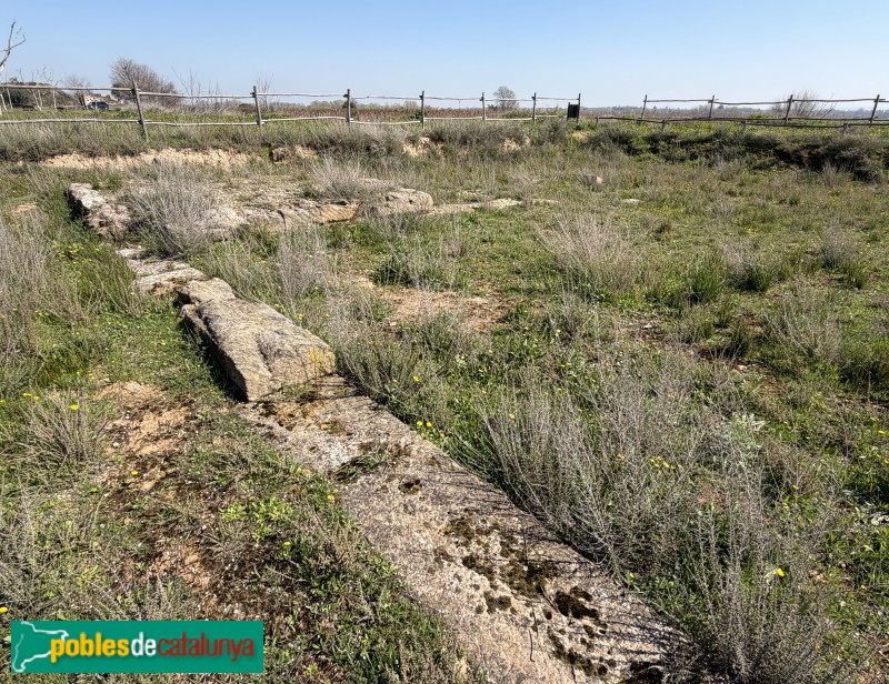 Corbins - Vil·la del Tossal del Moro