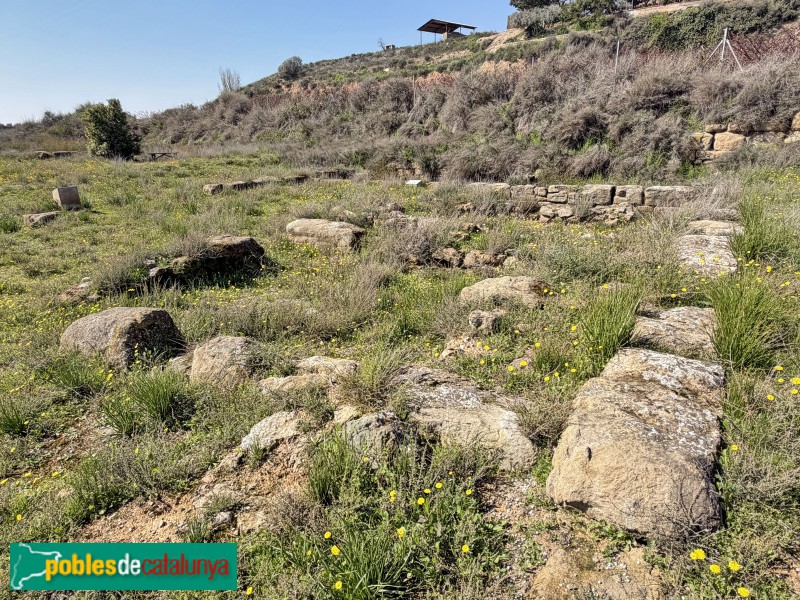 Corbins - Vil·la del Tossal del Moro