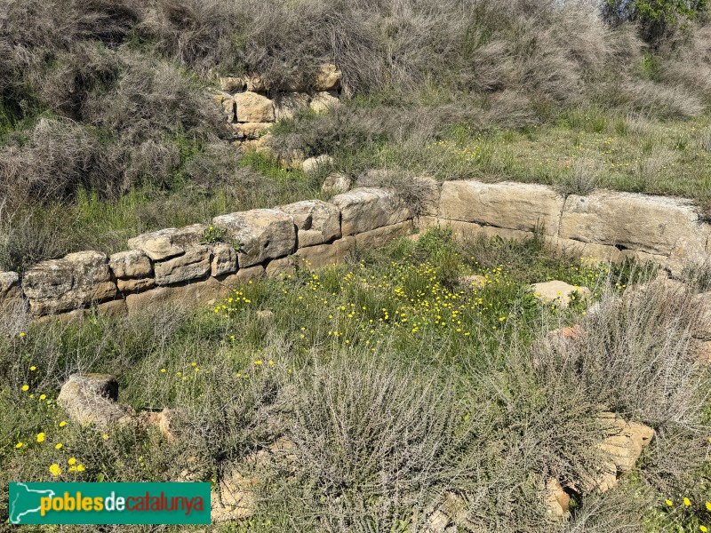 Corbins - Vil·la del Tossal del Moro