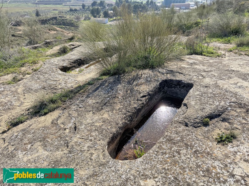 Alcoletge - Necròpolis del Tossal de la Nora