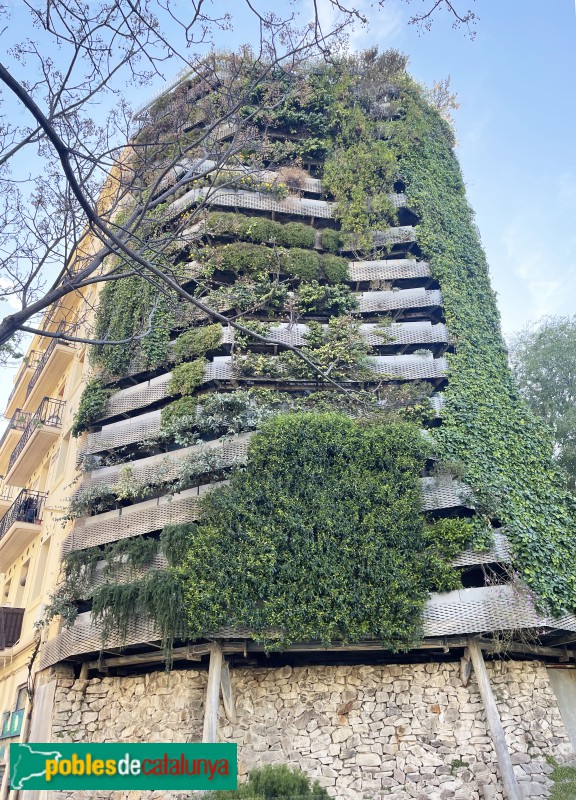 Barcelona - Jardí Tarradellas (Mitgera Verda)