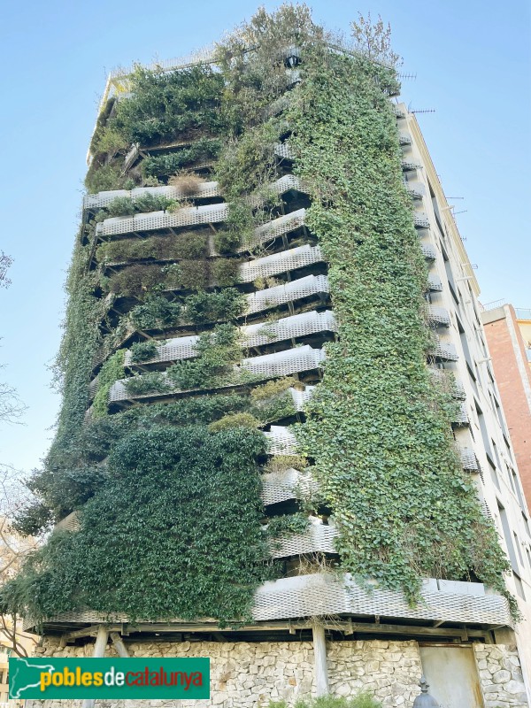Barcelona - Jardí Tarradellas (Mitgera Verda)