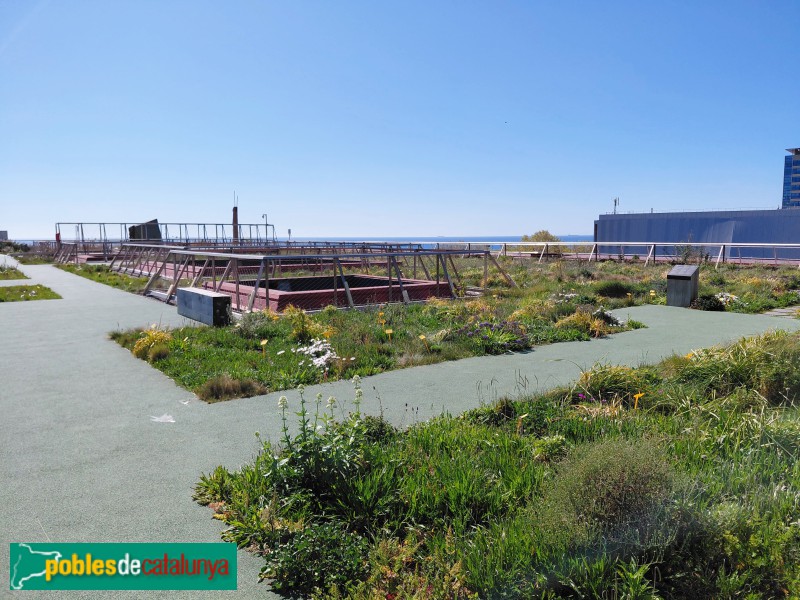 Barcelona - Edifici Fòrum (Museu Blau)