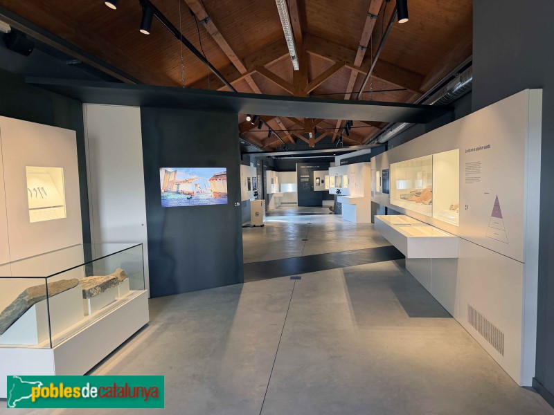 Roda de Ter - Museu Arqueològic de l'Esquerda (Foto: Albert Esteves, 2026) Roda de Ter - Museu Arqueològic de l'Esquerda