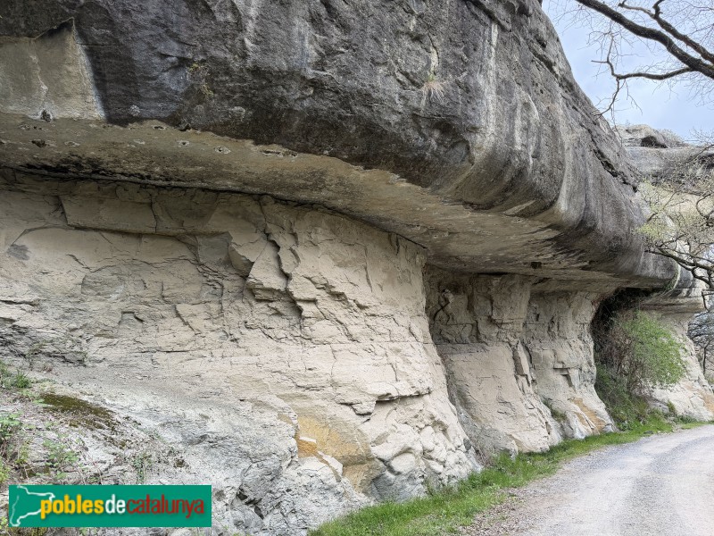 Les Masies de Roda - Balmes camí de Santa Magdalena de Conangle (Foto: Albert Esteves, 2026) Les Masies de Roda - Balmes camí de Santa Magdalena de Conangle