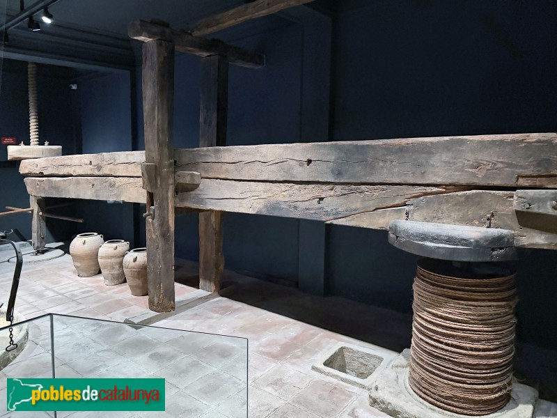 Reus - Museu d'Art i Història de Reus. Premsa de biga