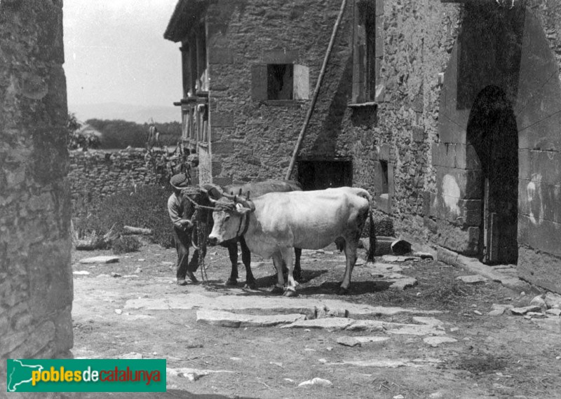 Sant Julià de Vilatorta - L'Albereda (Foto: Josep M. Armengol -Arxiu Fotogràfic Centre Excursionista de Catalunya-, 1899-1905) Sant Julià de Vilatorta - L'Albereda