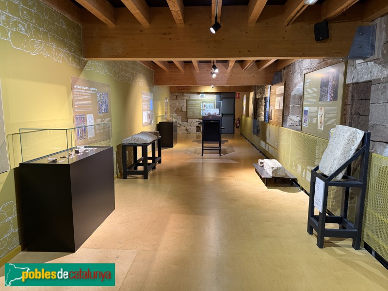 Falset - Castell de Falset. Museu Comarcal (Foto: Albert Esteves, 2026) Falset - Castell de Falset. Museu Comarcal
