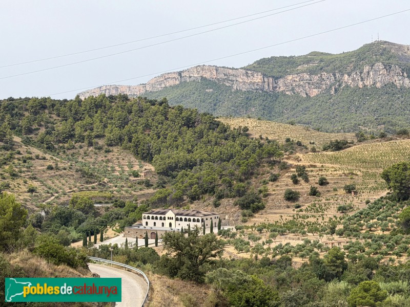 La Vilella Alta - Bodegues Mas Alta