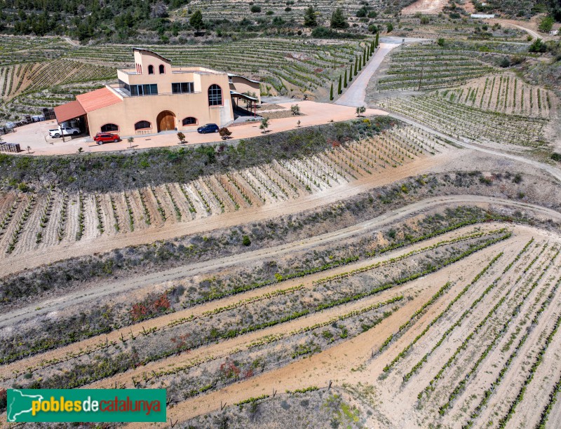 El Molar - Celler Cal Grau (Foto: Francesc Vidal-Barraquer, 2024) El Molar - Celler Cal Grau
