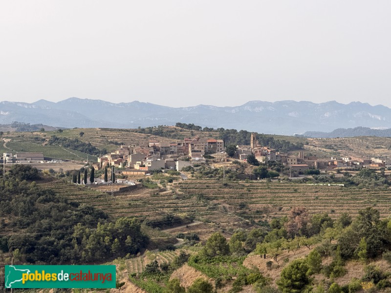 Gratallops - Panoràmica del poble des de l'ermita de la Consolació (Foto: Albert Esteves, 2026) Gratallops - Panoràmica del poble des de l'ermita de la Consolació