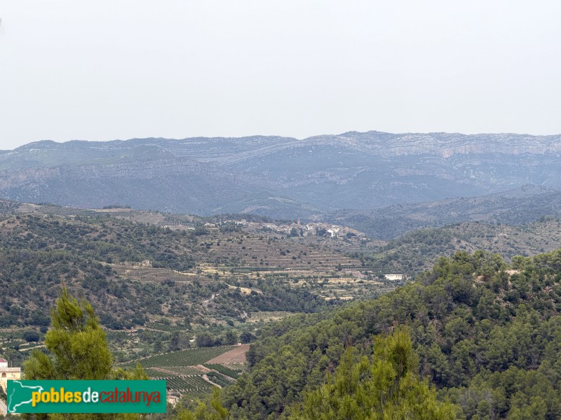 El Masroig - Panoràmica des de l'ermita de les Pinyeres