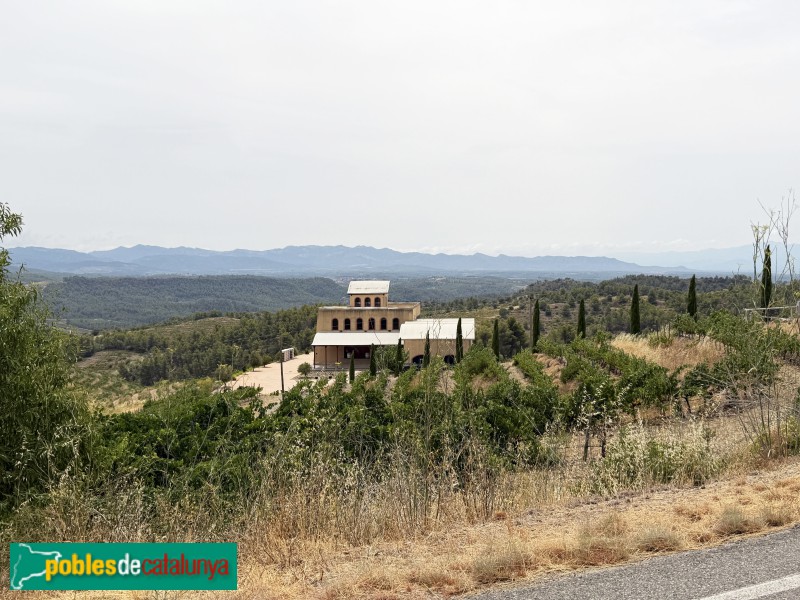 El Molar - Celler Cal Grau (Foto: Albert Esteves, 2026) El Molar - Celler Cal Grau