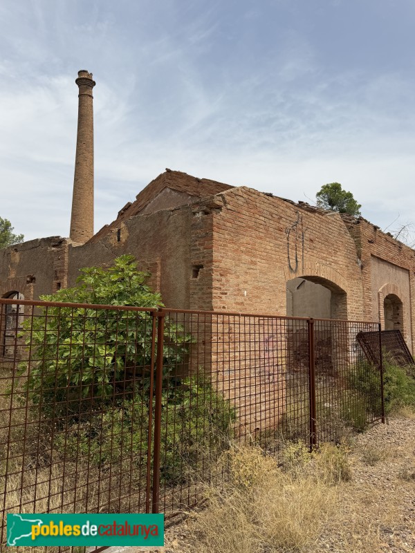 El Molar - Mina Lussa (Foto: Albert Esteves, 2026) El Molar - Mina Lussa