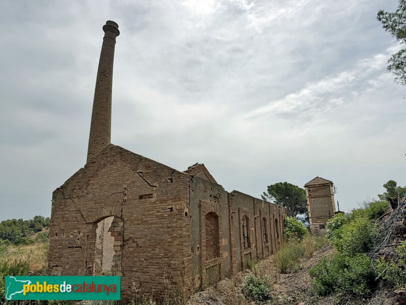 El Molar - Mina Lussa (Foto: Albert Esteves, 2026) El Molar - Mina Lussa