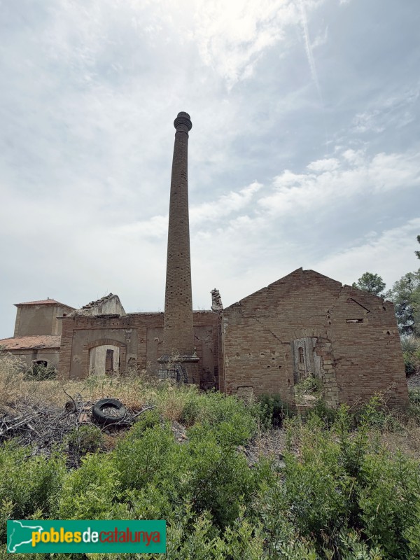 El Molar - Mina Lussa (Foto: Albert Esteves, 2026) El Molar - Mina Lussa