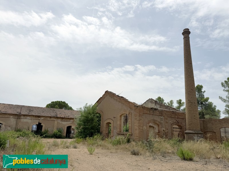 El Molar - Mina Lussa (Foto: Albert Esteves, 2026) El Molar - Mina Lussa