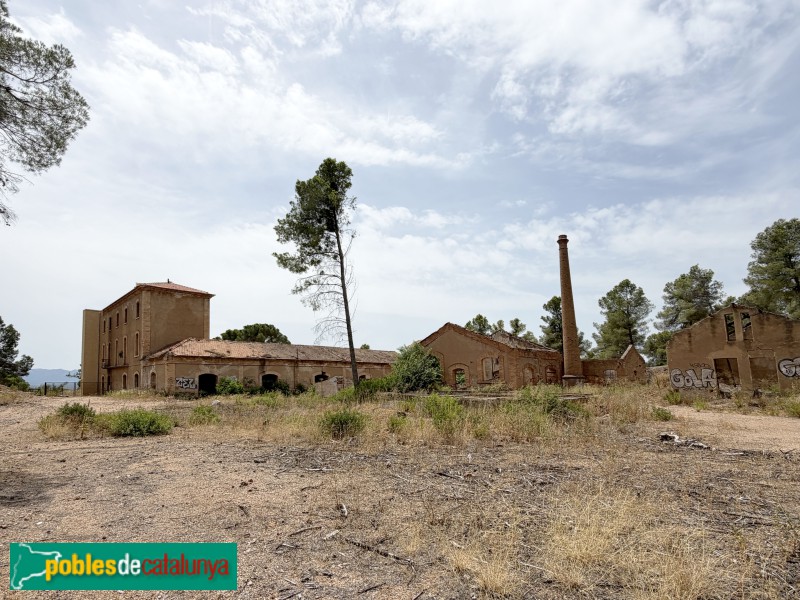 El Molar - Mina Lussa (Foto: Albert Esteves, 2026) El Molar - Mina Lussa