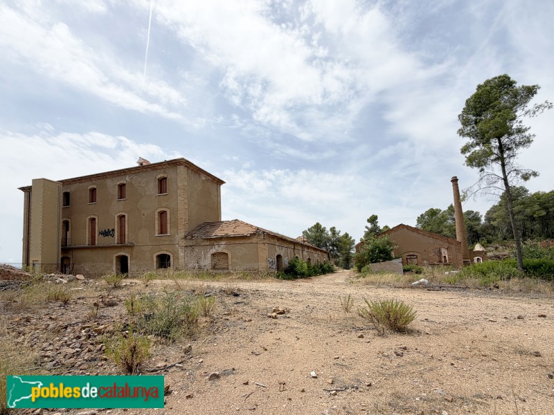 El Molar - Mina Lussa (Foto: Albert Esteves, 2026) El Molar - Mina Lussa