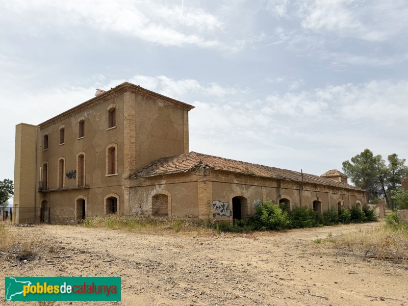 El Molar - Mina Lussa (Foto: Albert Esteves, 2026) El Molar - Mina Lussa