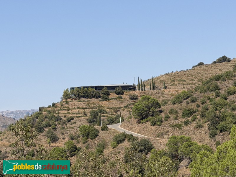 Falset - Bodega Ferrer Bobet (Foto: Albert Esteves, 2026) Falset - Bodega Ferrer Bobet
