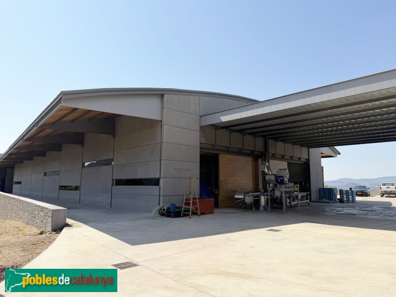 Falset - Bodega Ferrer Bobet (Foto: Albert Esteves, 2026) Falset - Bodega Ferrer Bobet