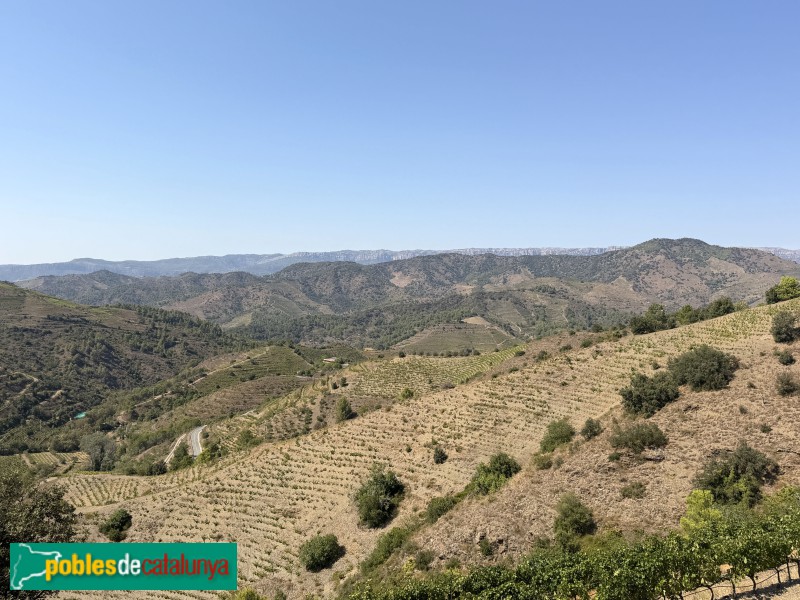 Falset - Panoràmica des de la bodega Ferrer Bobet (Foto: Albert Esteves, 2026) Falset - Panoràmica des de la bodega Ferrer Bobet