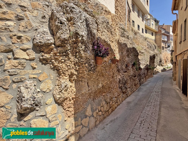 La Bisbal de Montsant - Carrer Metge Curcó (Foto: Albert Esteves, 2026) La Bisbal de Montsant - Carrer Metge Curcó