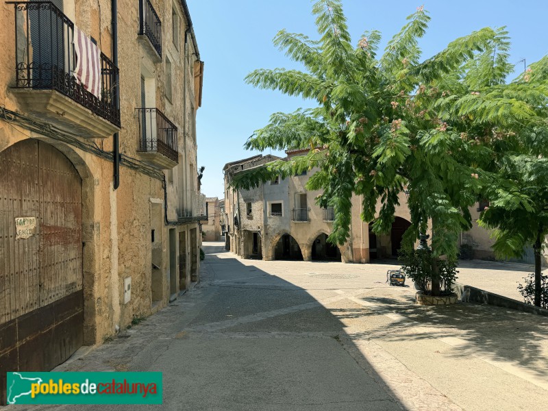 Cabacés - Pla de la Bassada (Foto: Albert Esteves, 2026) Cabacés - Pla de la Bassada
