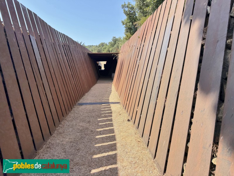 Palamós - Celler Brugarol (Foto: Albert Esteves, 2026) Palamós - Celler Brugarol