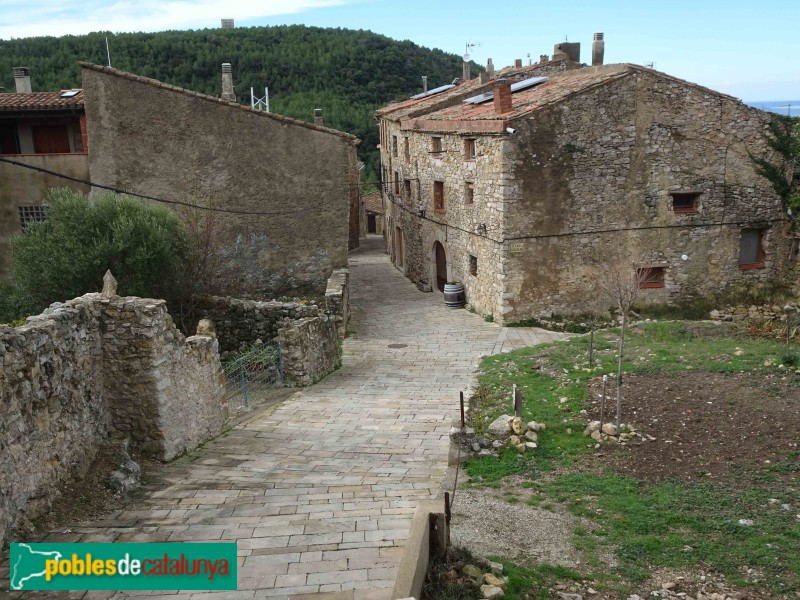 Tivissa - Llaberia (Foto: Francesc Vidal-Barraquer, 2020) Tivissa - Llaberia