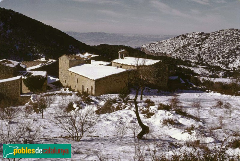 Tivissa - Llaberia nevada (Foto: Camil José Guiu - Arxiu Fotogràfic de Barcelona-, 1971) Tivissa - Llaberia nevada