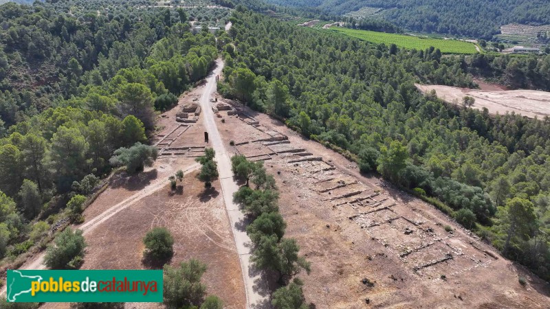 Tivissa - Poblat ibèric del Castellet de Banyoles