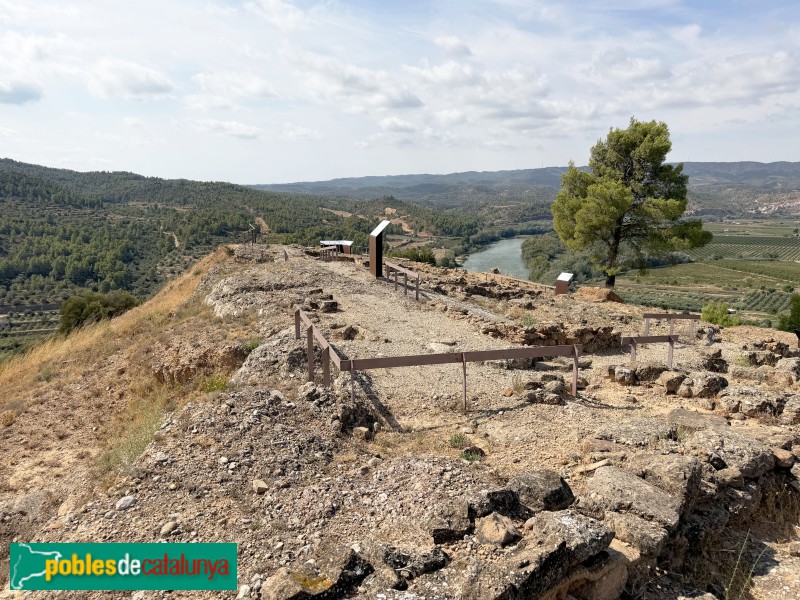 Vinebre - Poblat ibèric de Sant Miquel