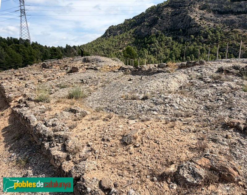 Vinebre - Poblat ibèric de Sant Miquel