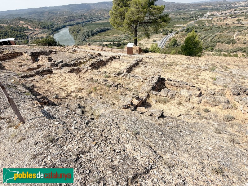 Vinebre - Poblat ibèric de Sant Miquel