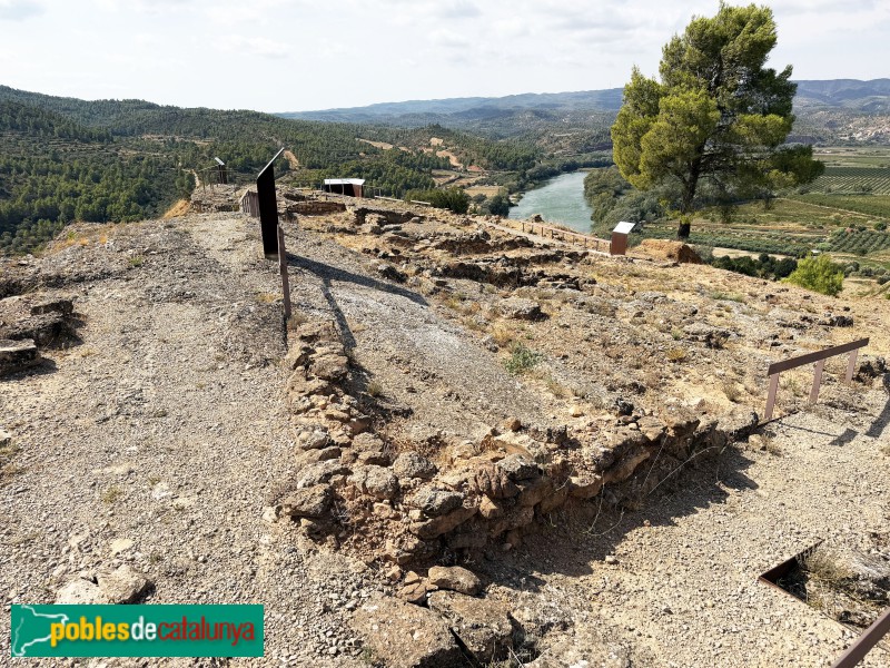Vinebre - Poblat ibèric de Sant Miquel